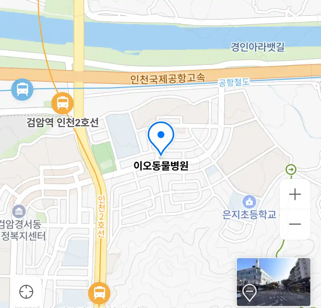 이오동물병원