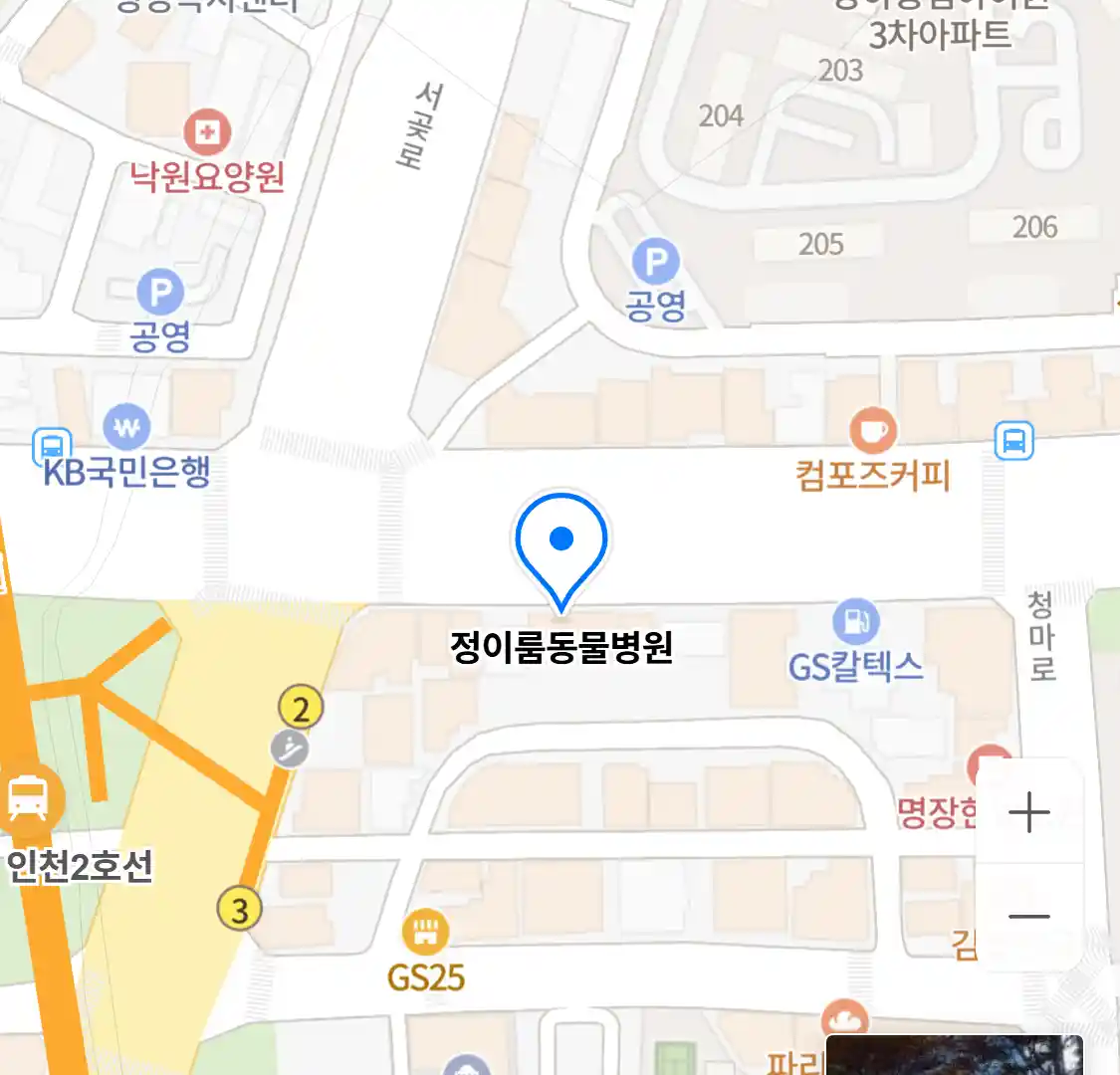 정이룸동물병원