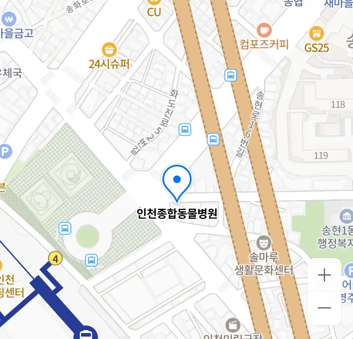 인천종합동물병원