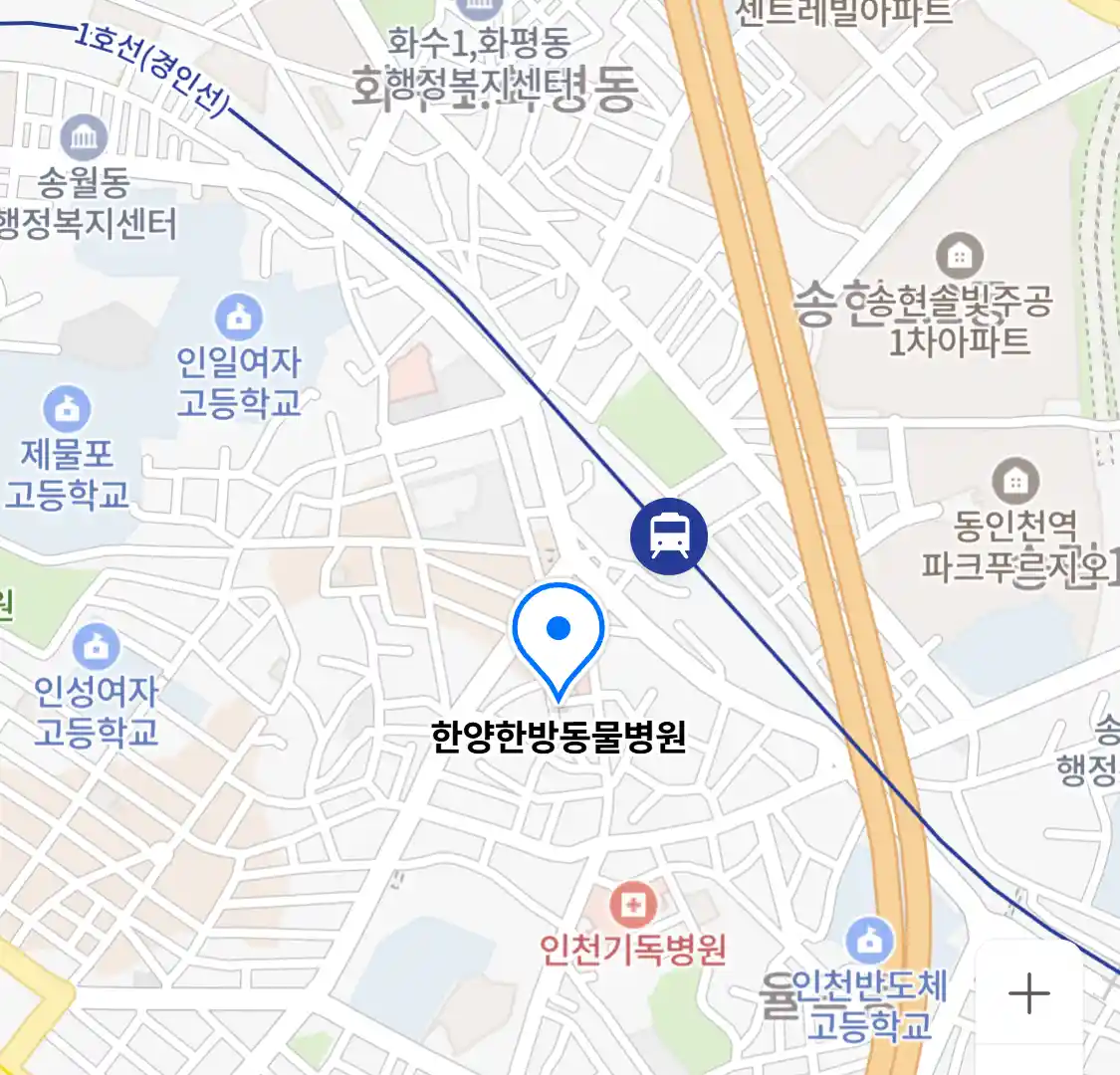 한양한방동물병원