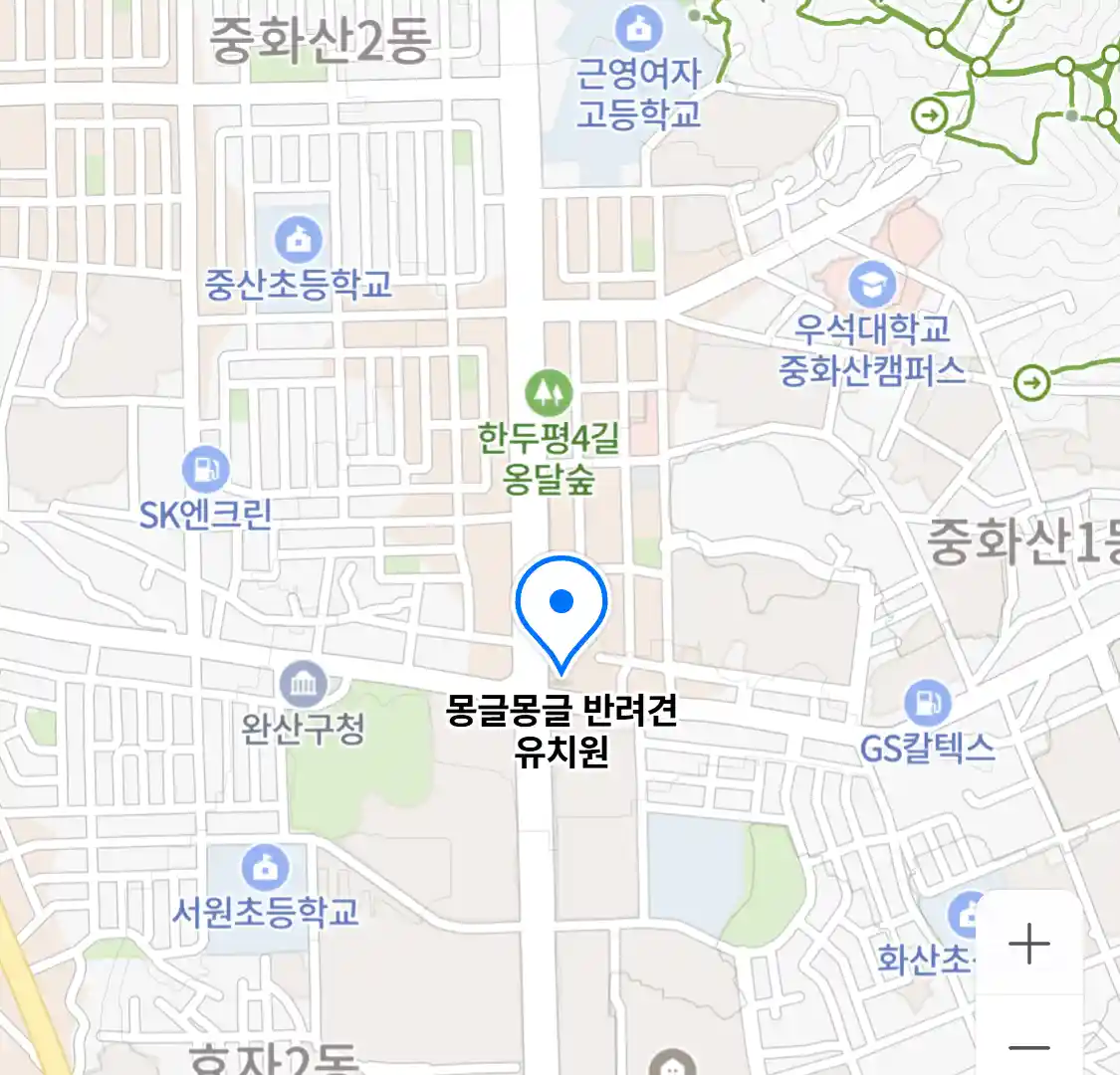 몽글몽글 반려견 유치원