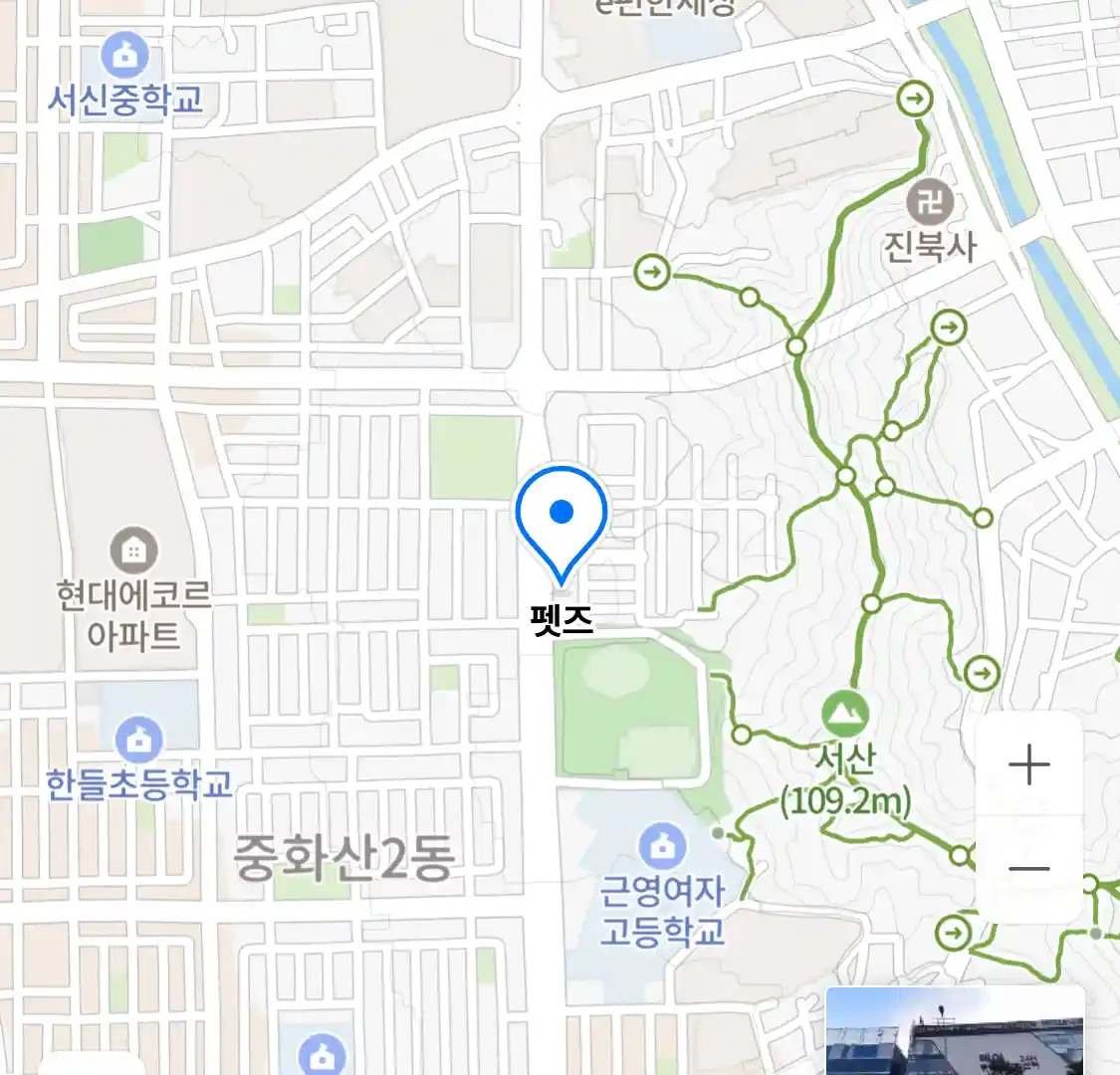펫즈