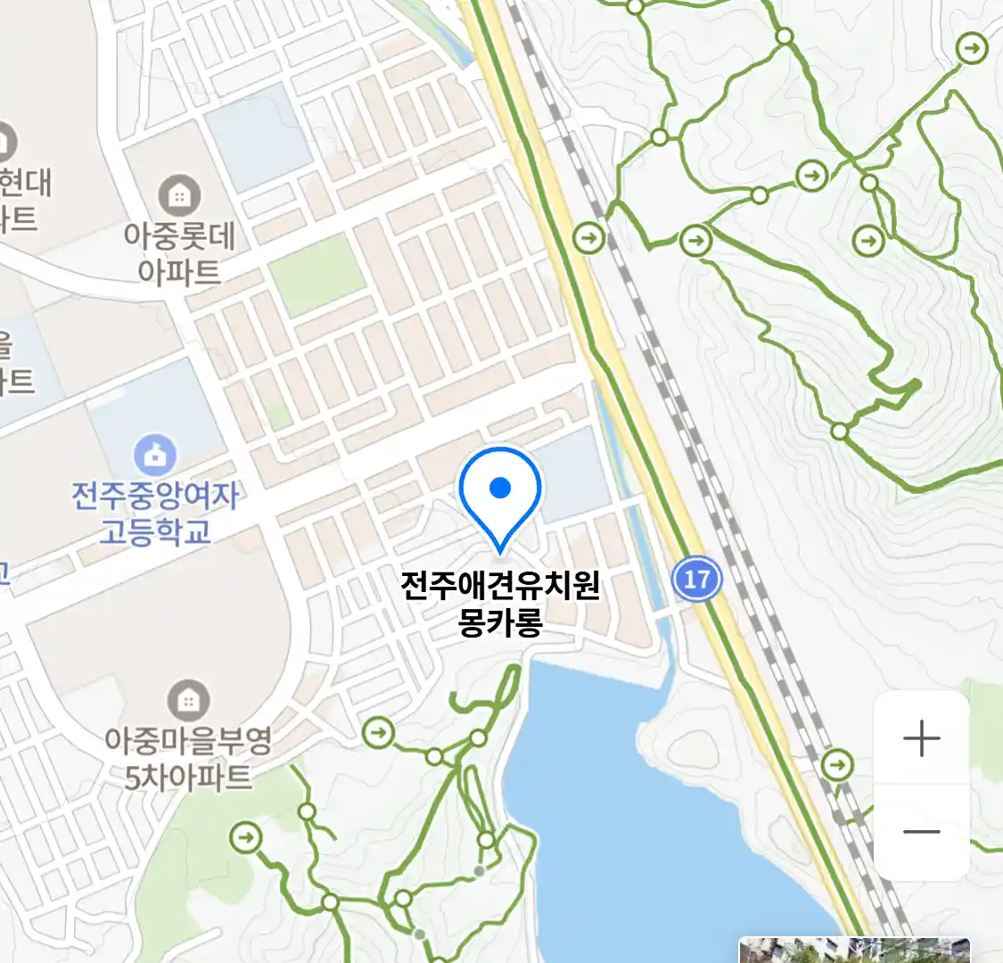 전주애견유치원 몽카롱