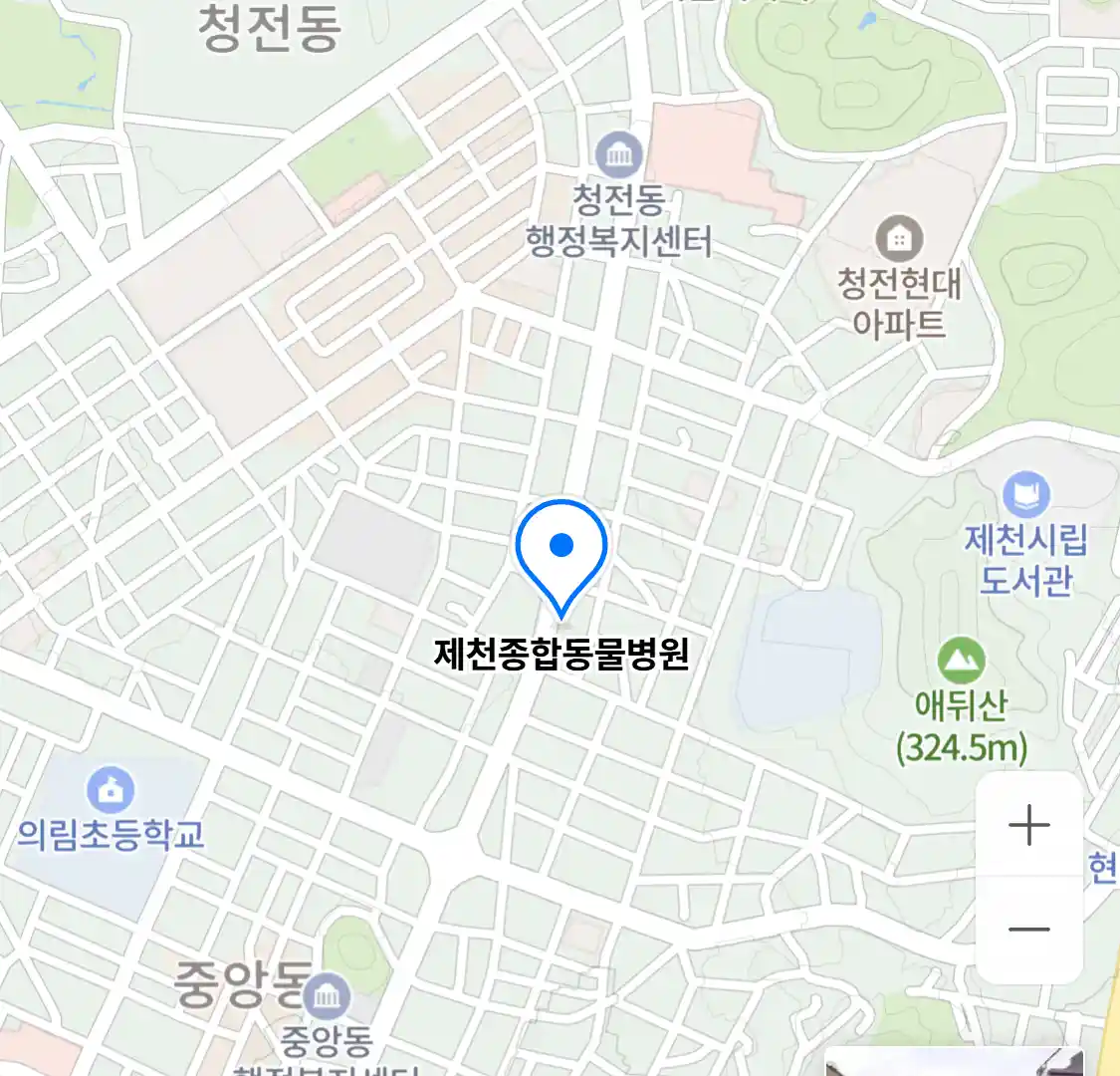 제천종합동물병원