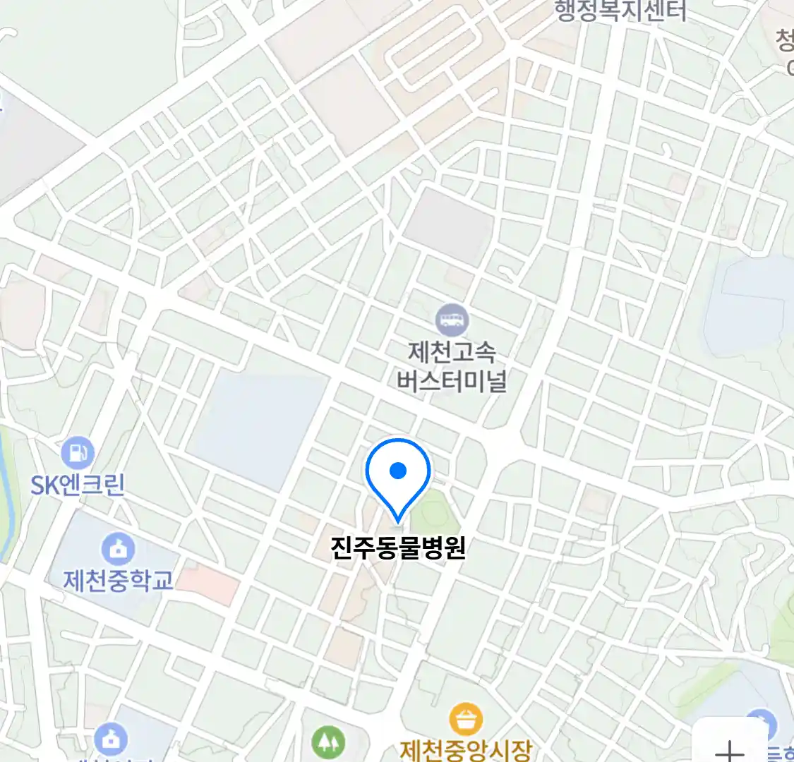 진주동물병원