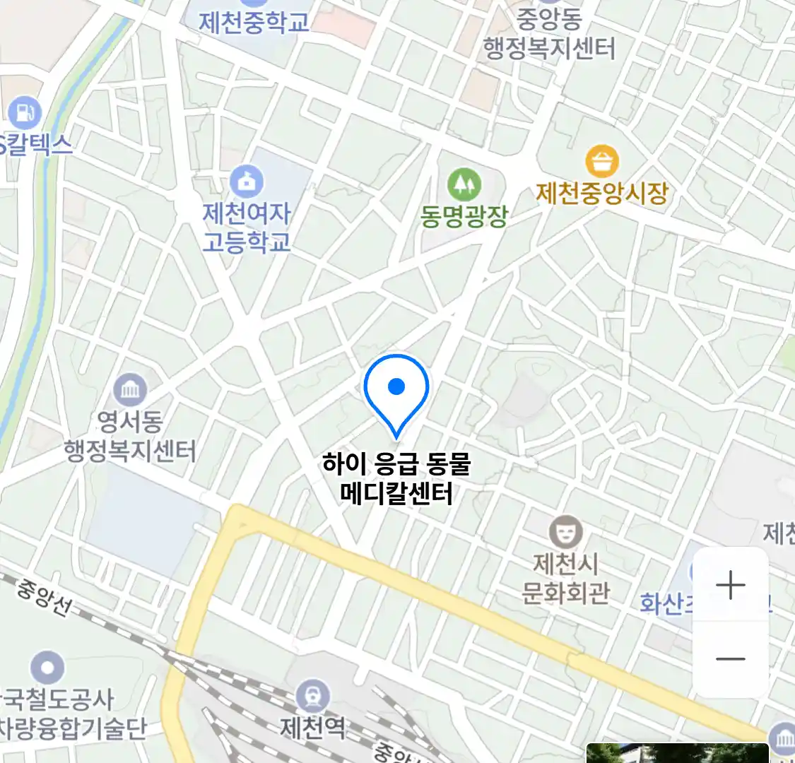 하이 응급 동물 메디칼센터