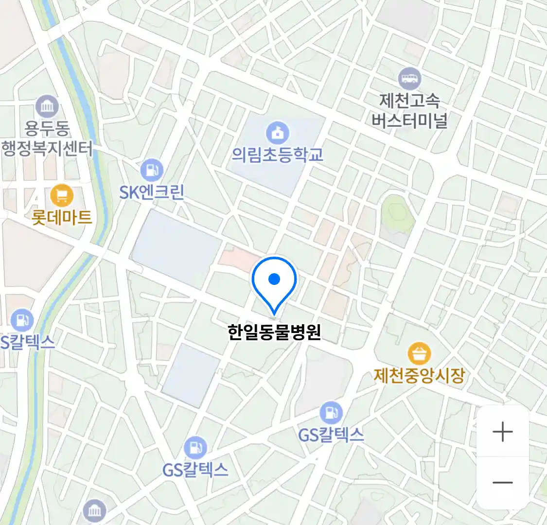 한일동물병원