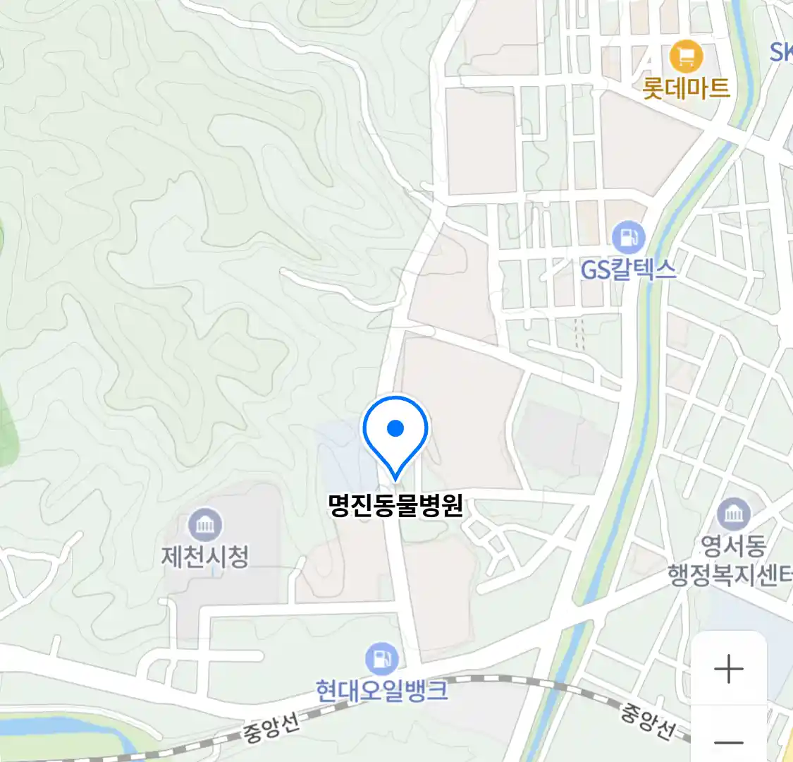 명진동물병원