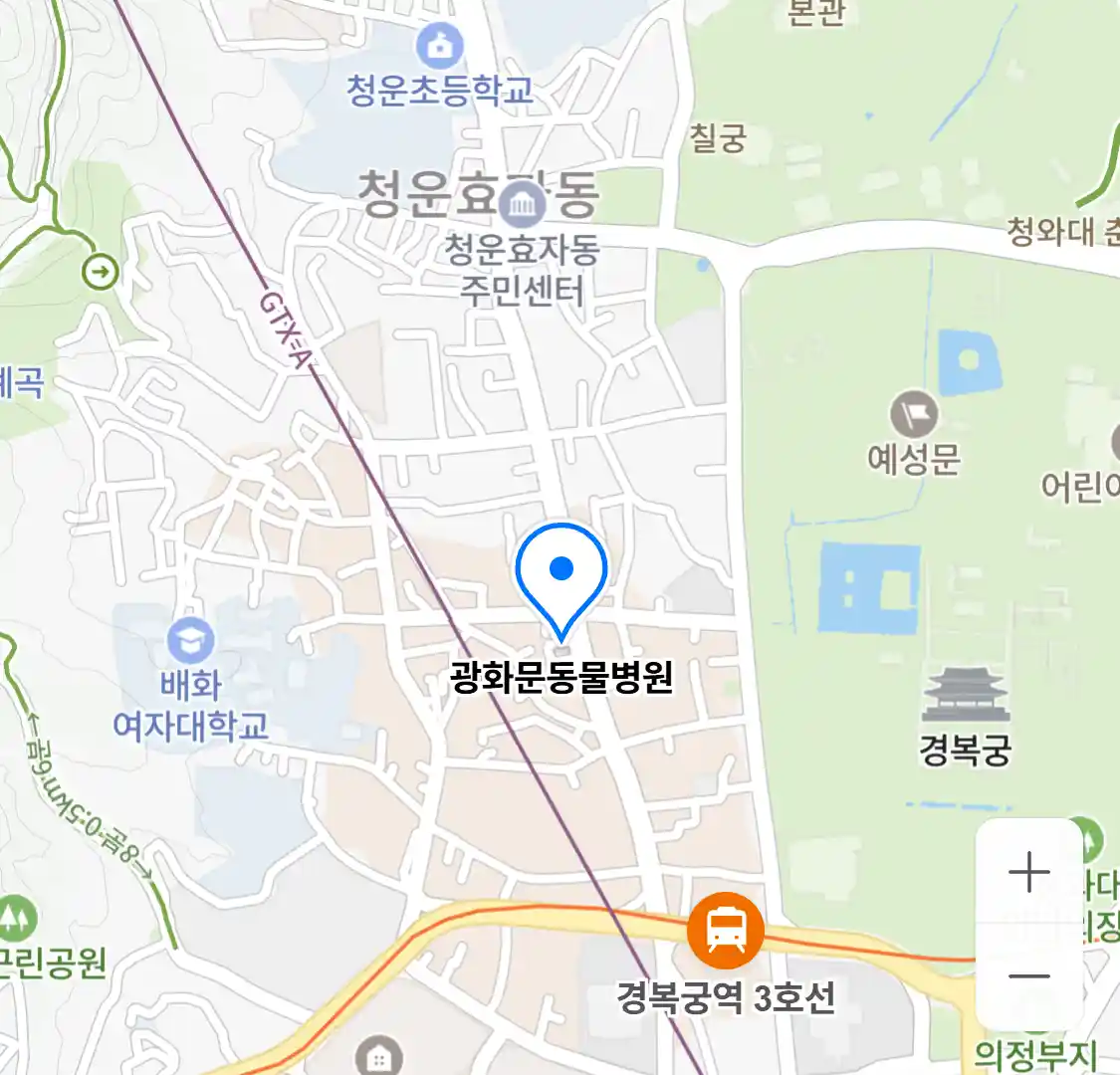광화문동물병원