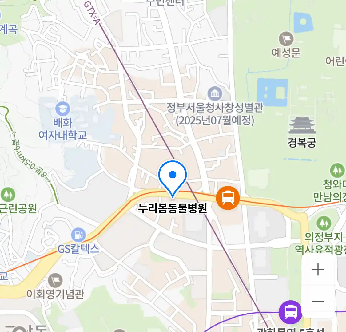 누리봄동물병원