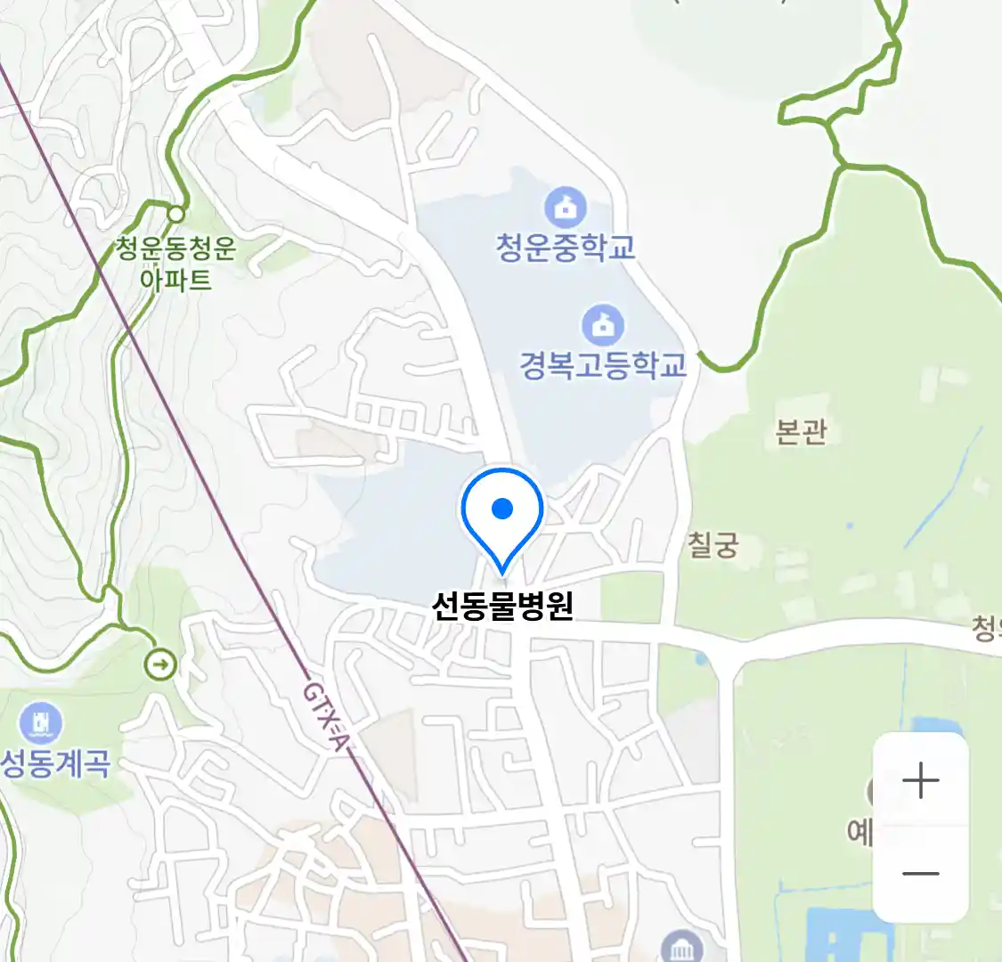 선동물병원
