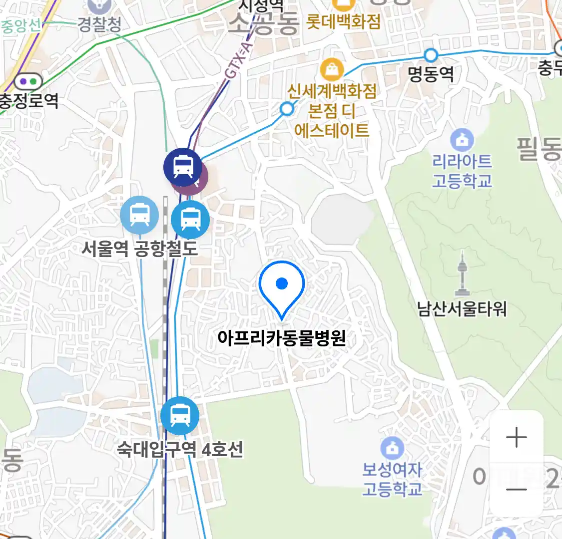 아프리카동물병원