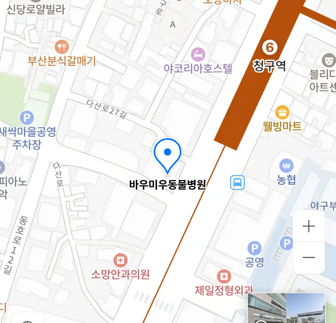 바우미우동물병원