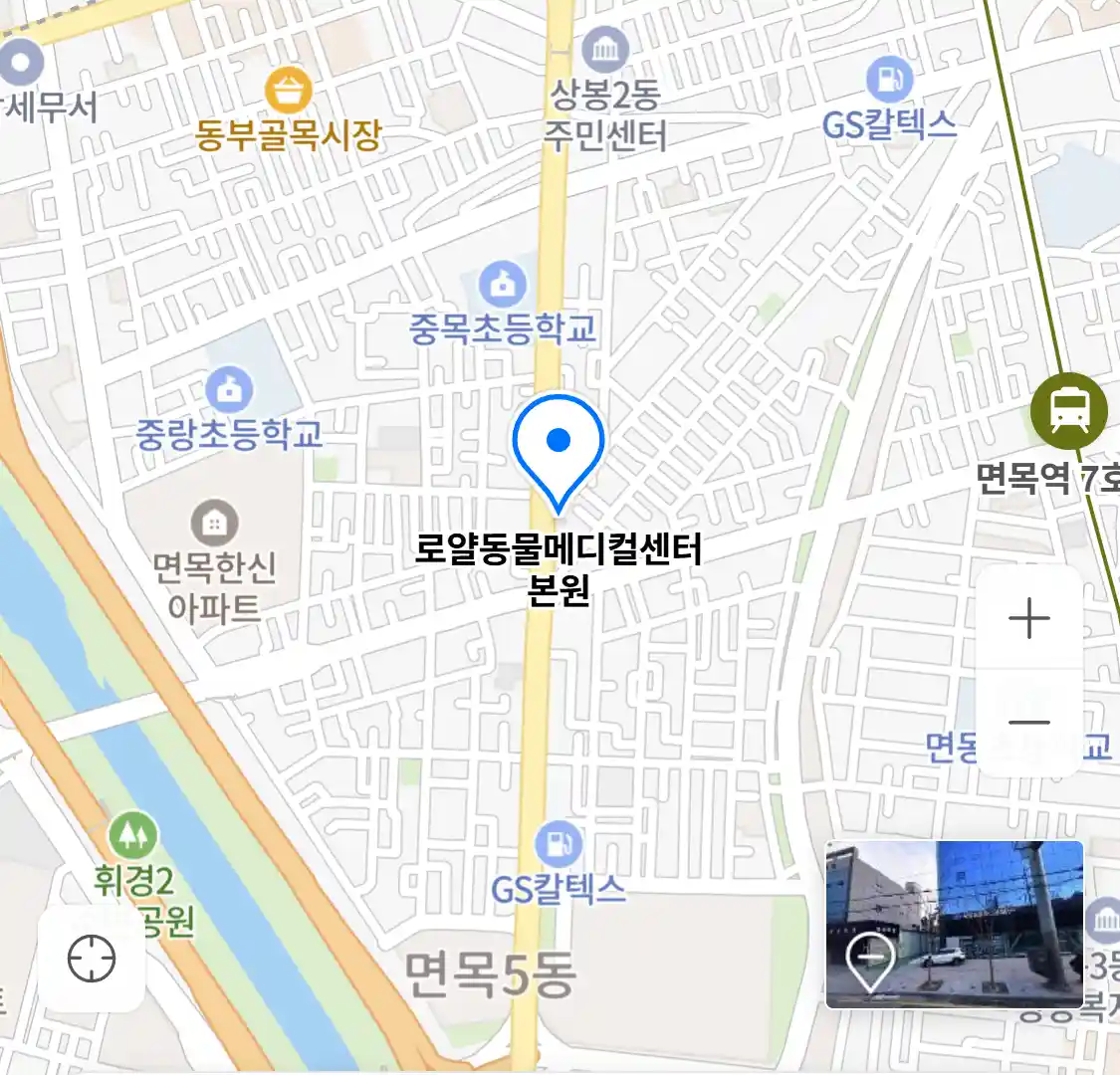로얄동물메디컬센터 본원