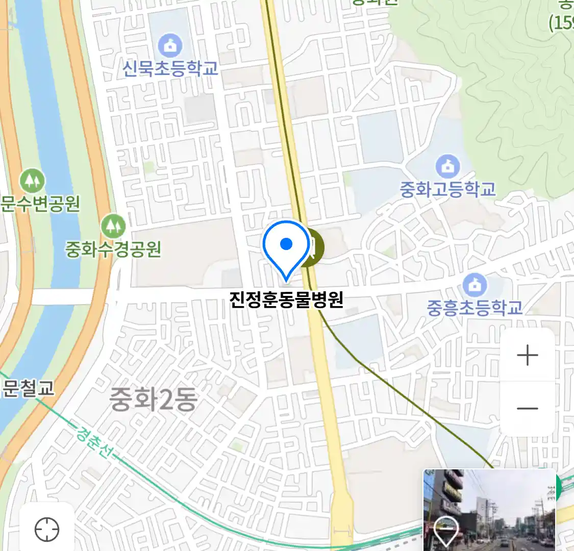진정훈동물병원
