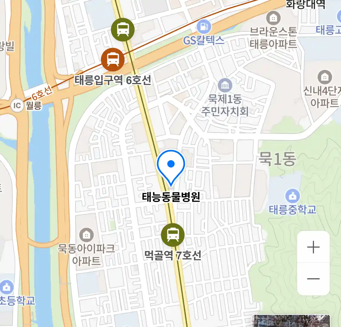 태능동물병원