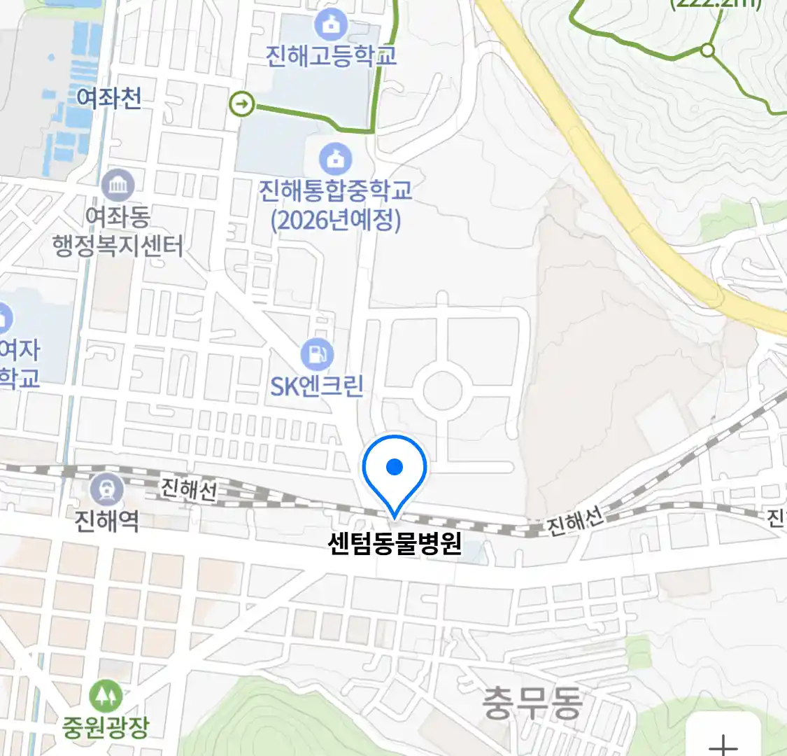 센텀동물병원