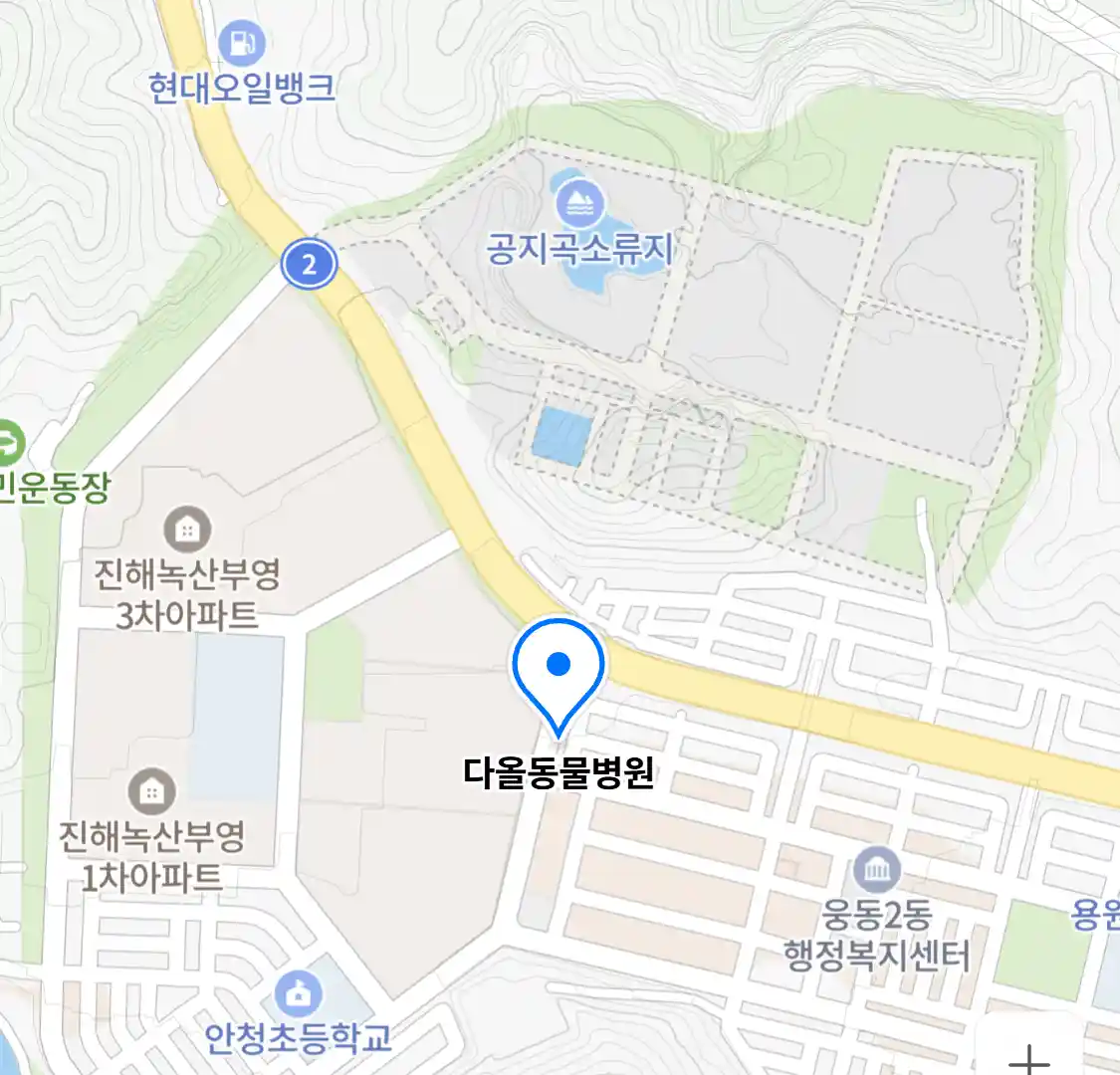 다올동물병원