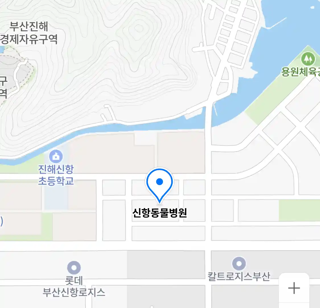 신항동물병원