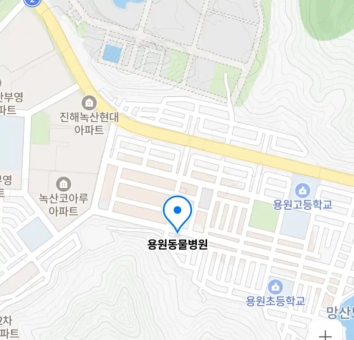 용원동물병원