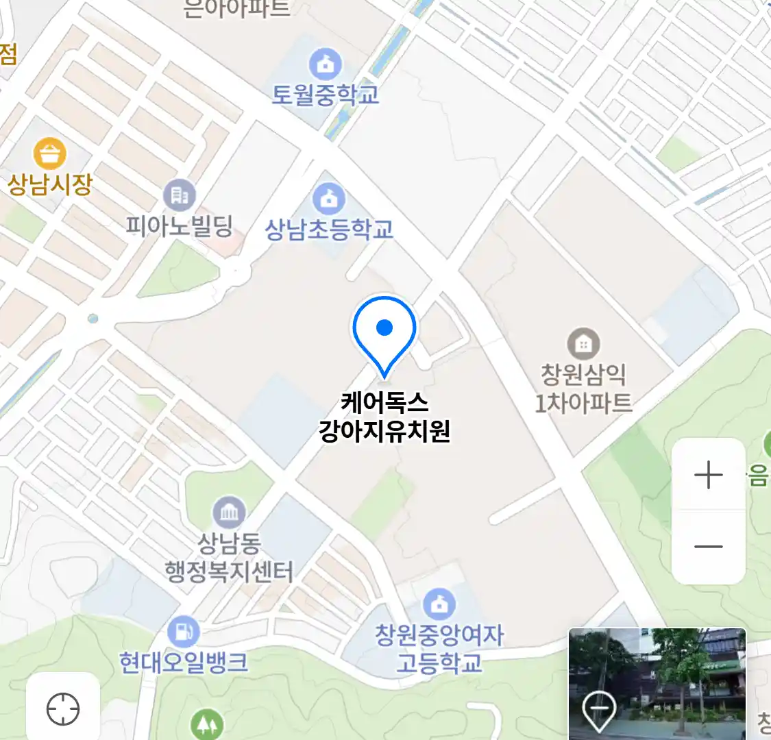 케어독스 강아지유치원