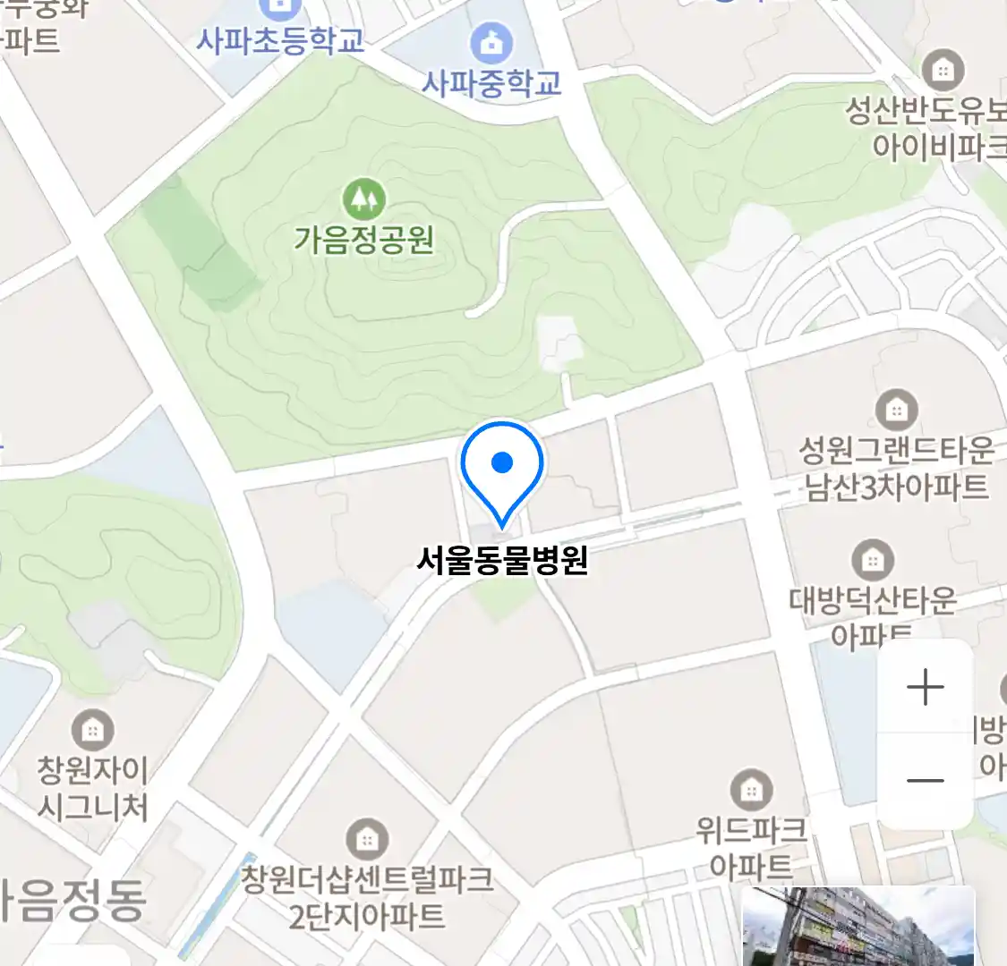 서울동물병원