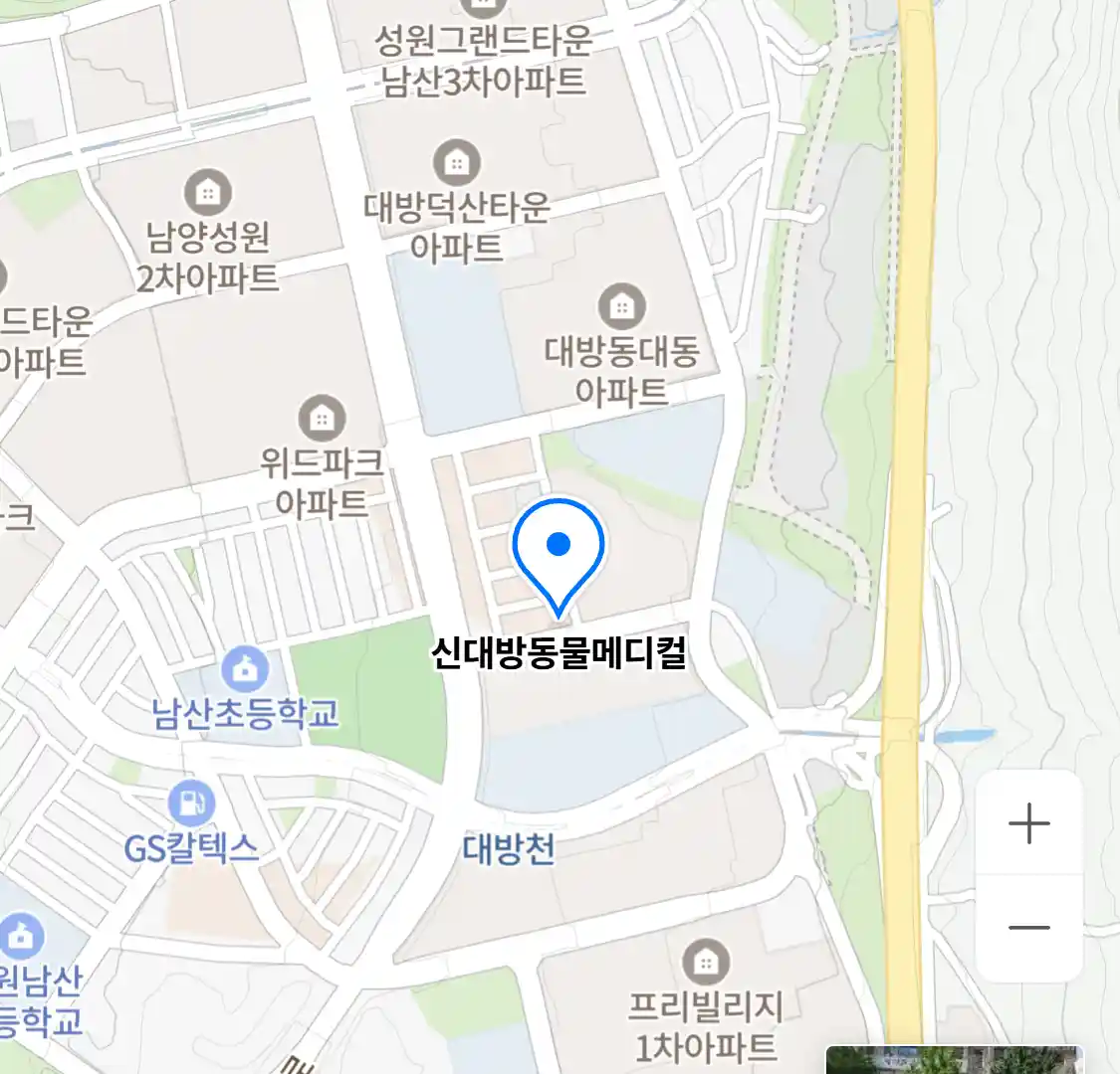 신대방동물메디컬