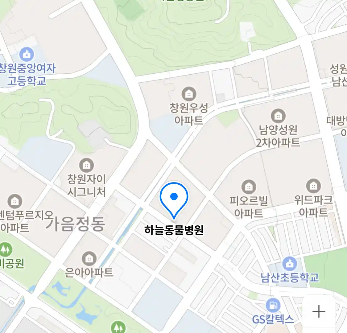 하늘동물병원