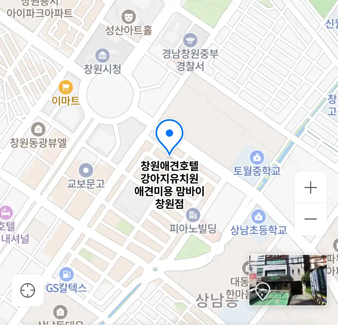 창원애견호텔 강아지유치원 애견미용 맘바이 창원점