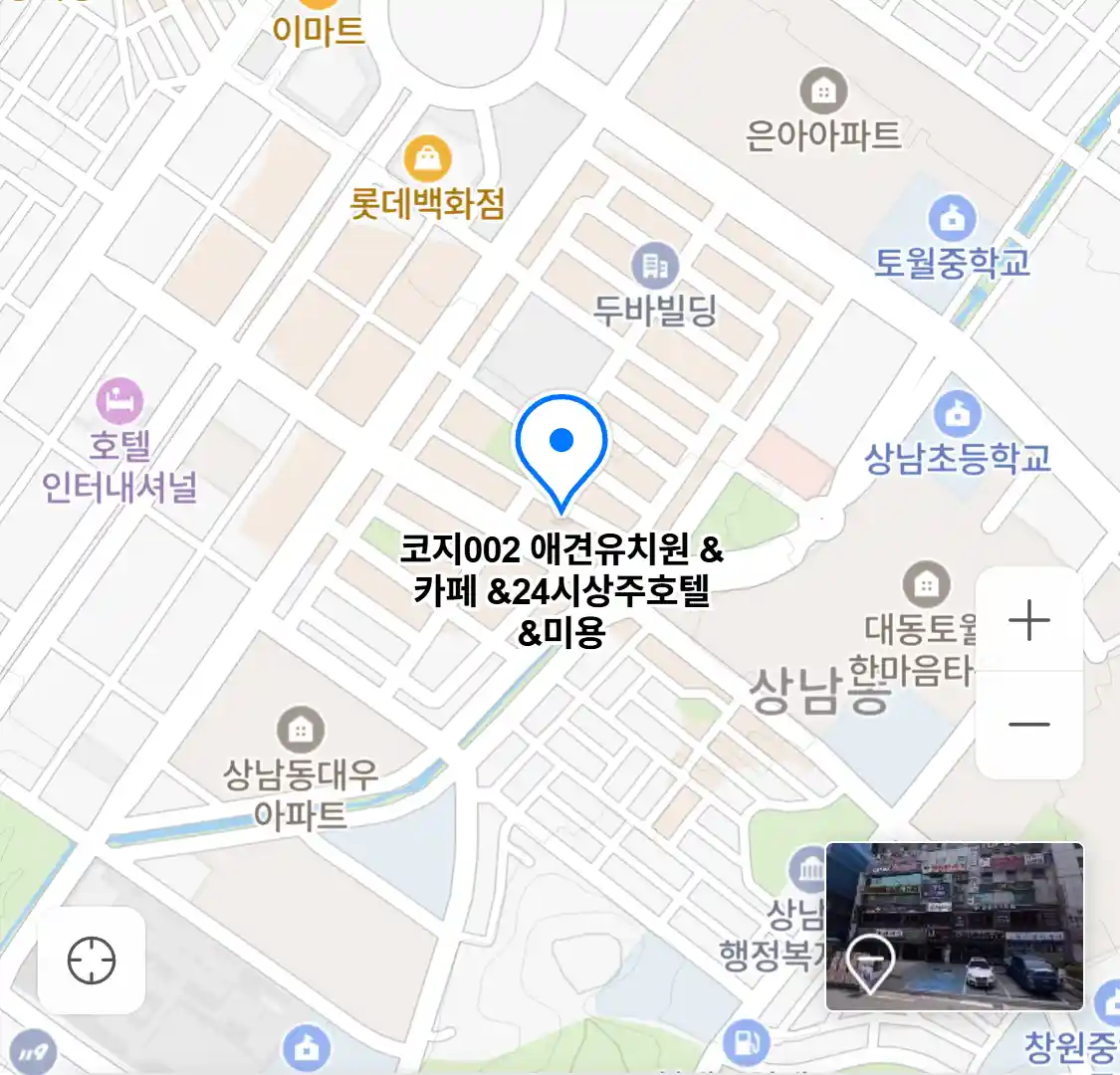 코지002 애견유치원 카페 24시상주호텔 미용