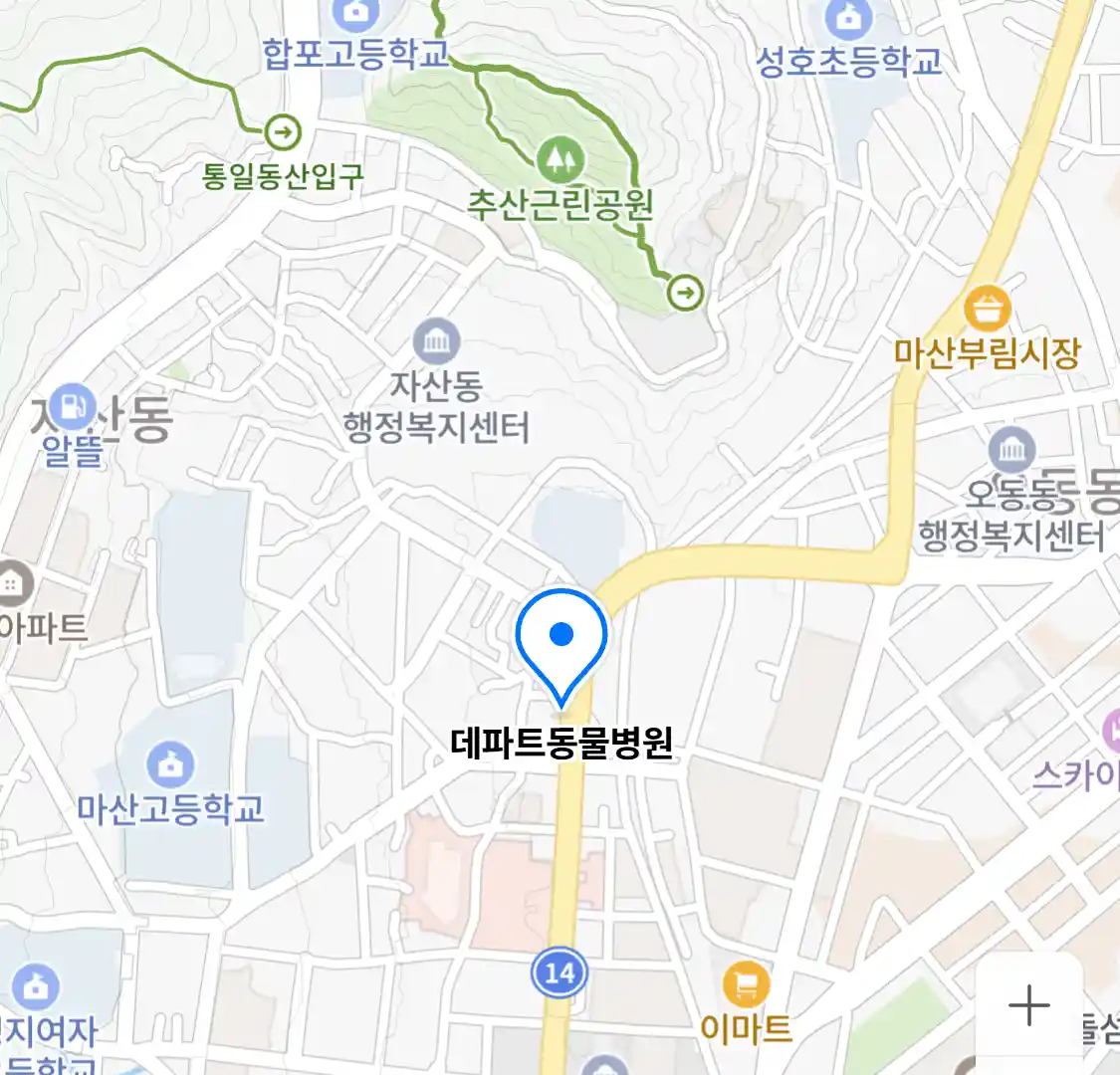 데파트동물병원