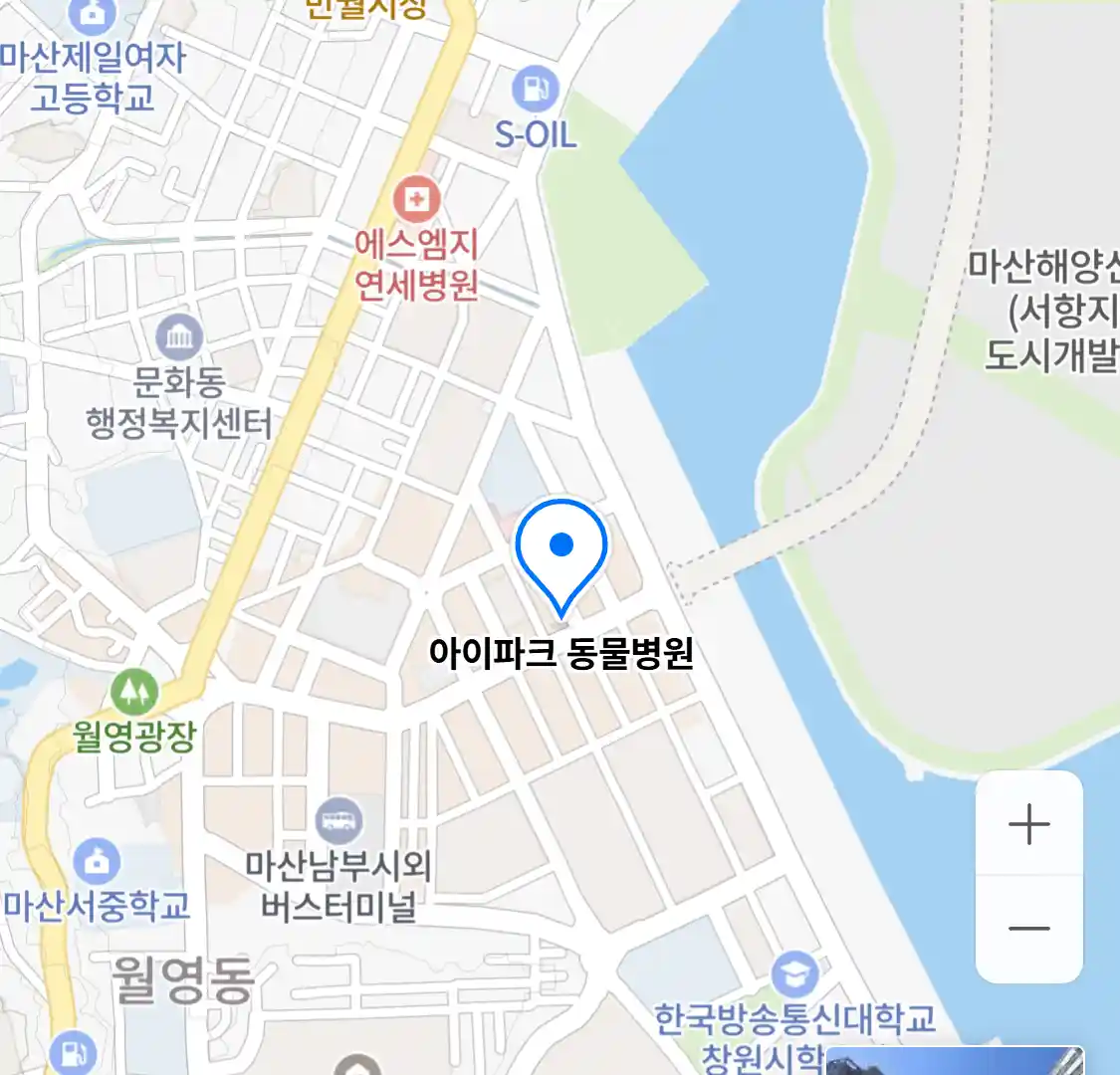 아이파크 동물병원