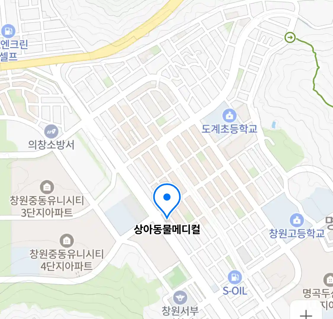 상아동물메디컬