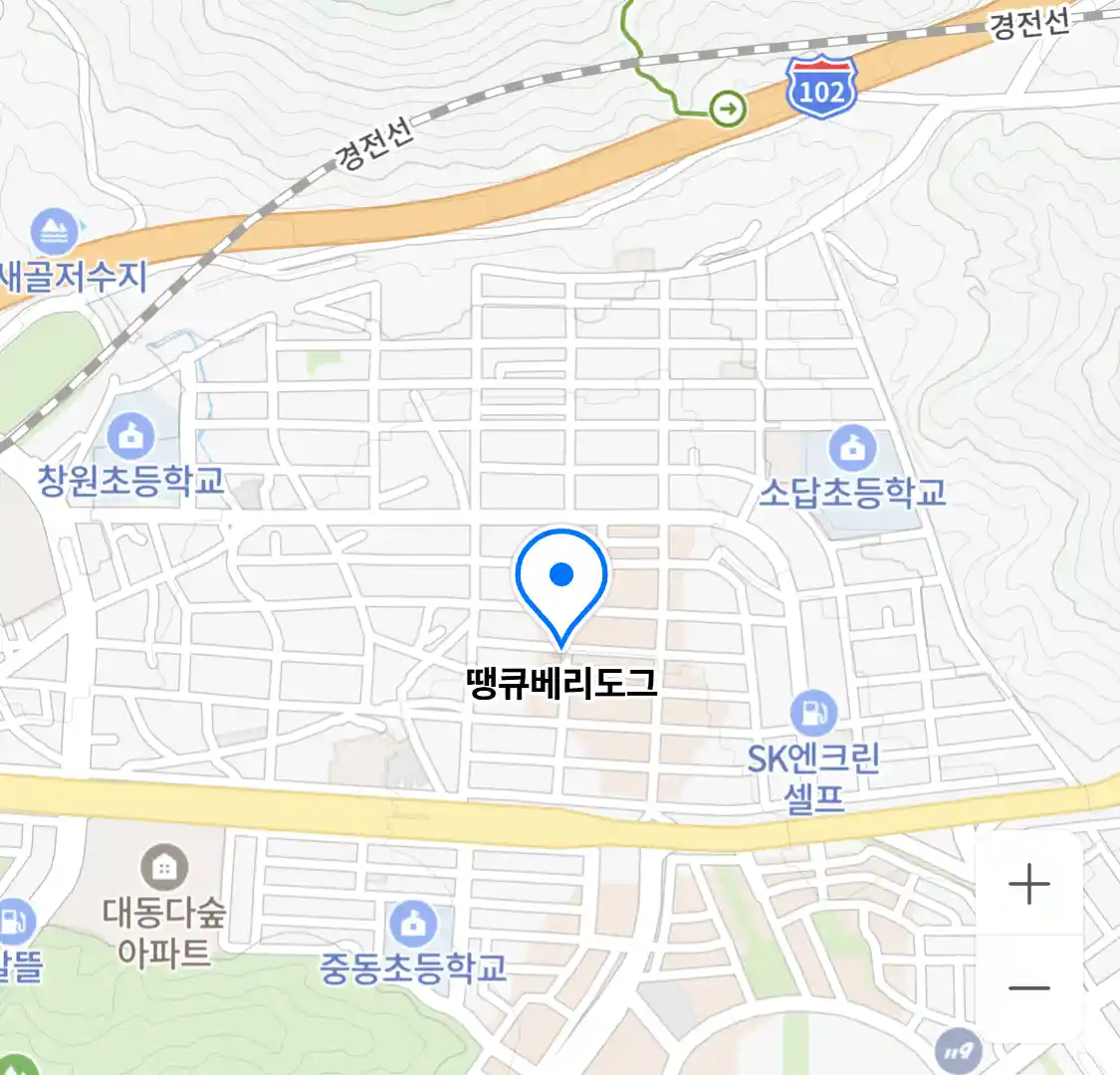 땡큐베리도그