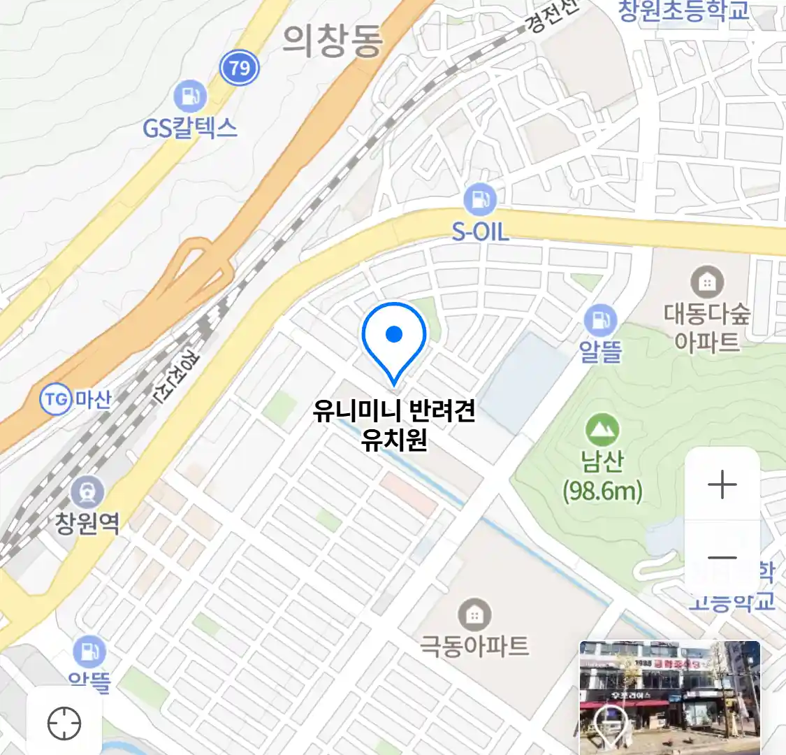 유니미니 반려견 유치원