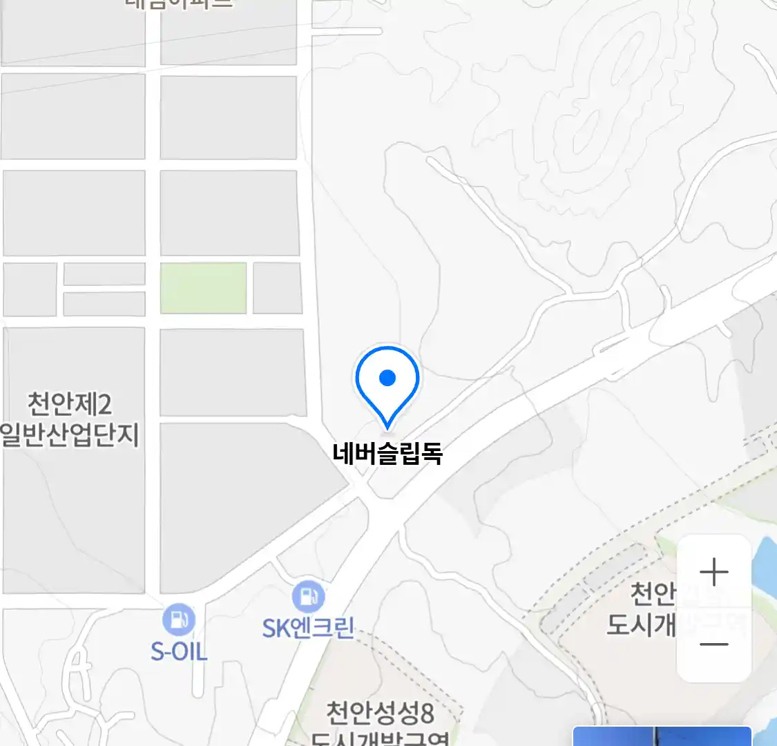 네버슬립독
