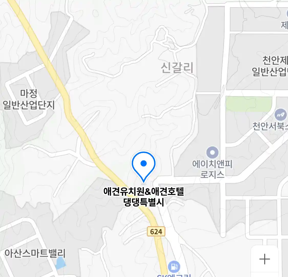 애견유치원&애견호텔 댕댕특별시