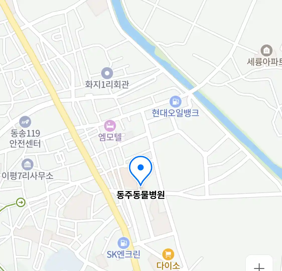 동주동물병원