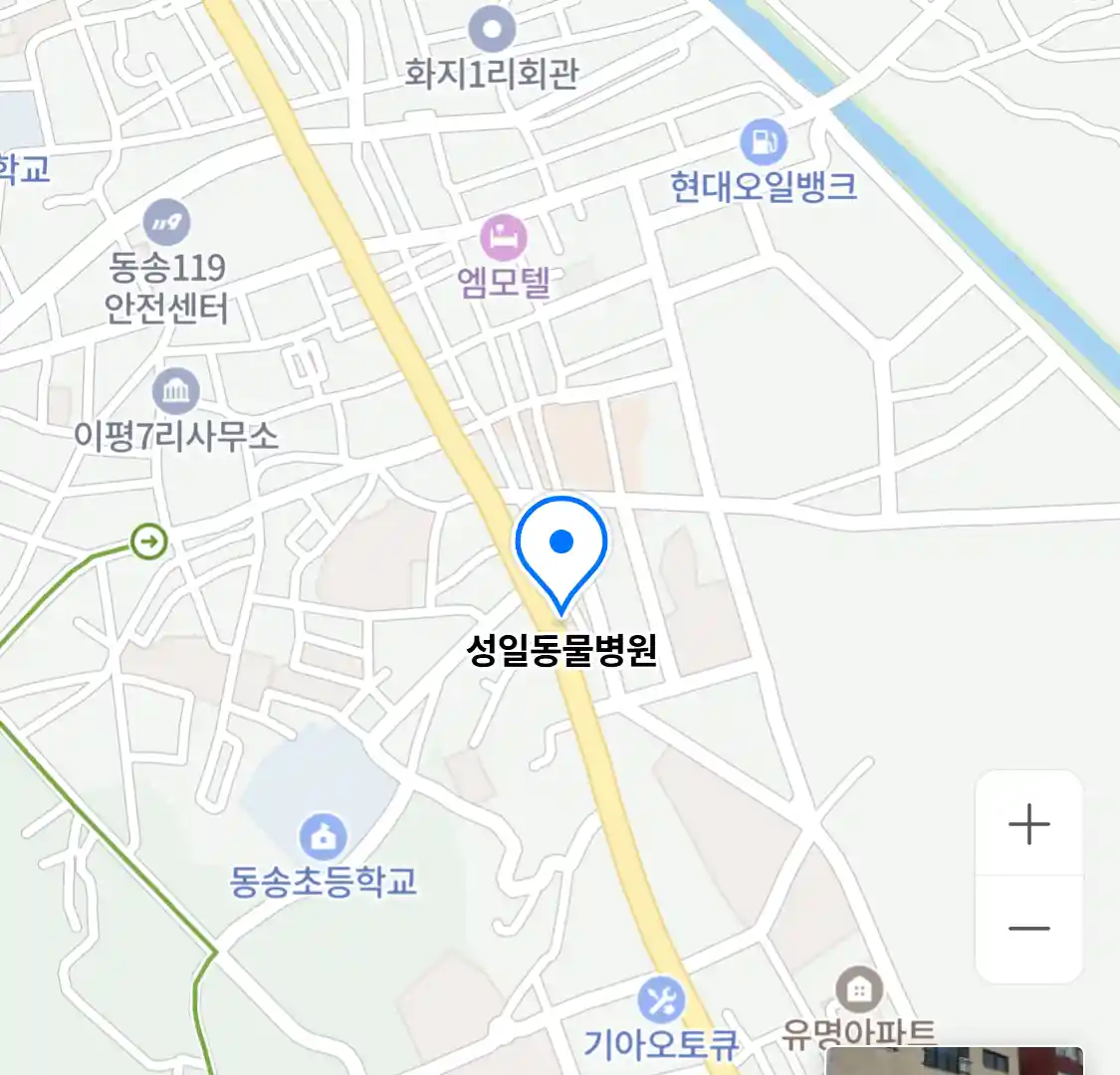 성일동물병원