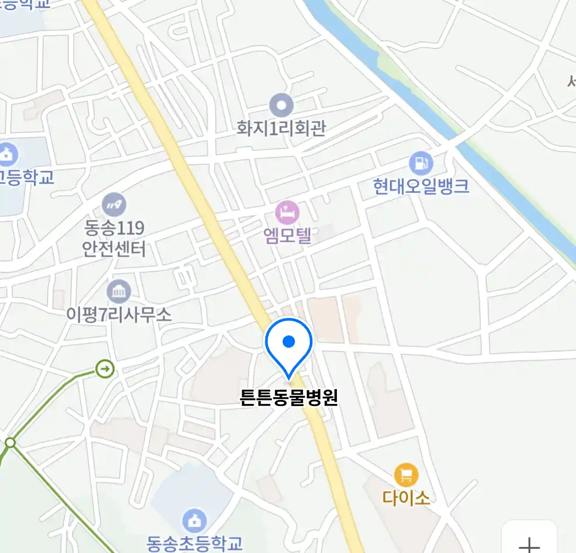 튼튼동물병원