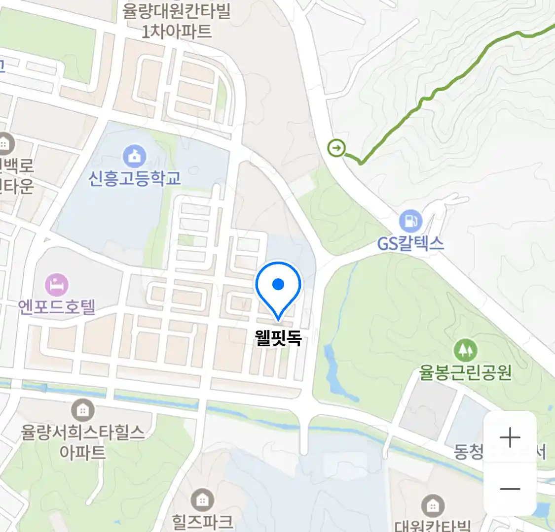 웰핏독