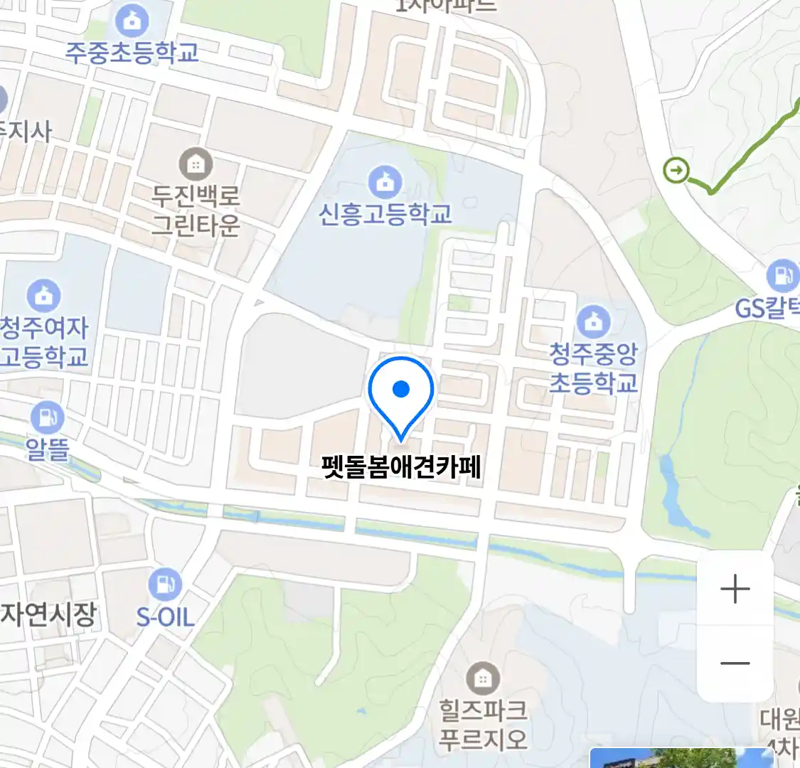 펫돌봄애견카페