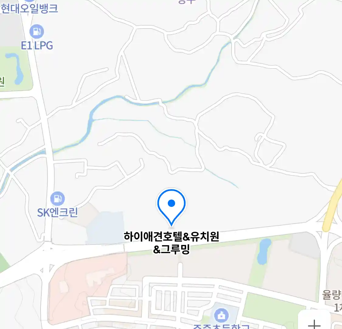 하이애견호텔&유치원&그루밍