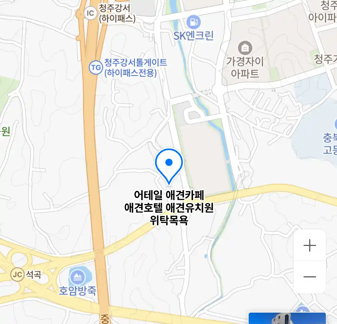 어테일 애견카페 애견호텔 애견유치원 위탁목욕