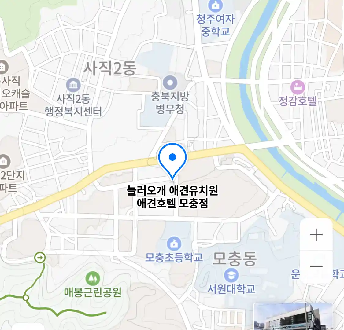 놀러오개 애견유치원 애견호텔 모충점