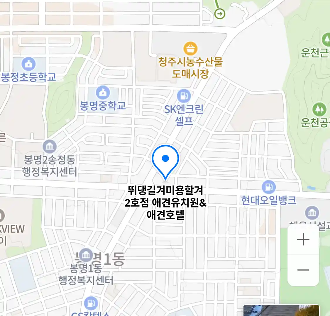 뛰댕길겨미용할겨 2호점 애견유치원&애견호텔