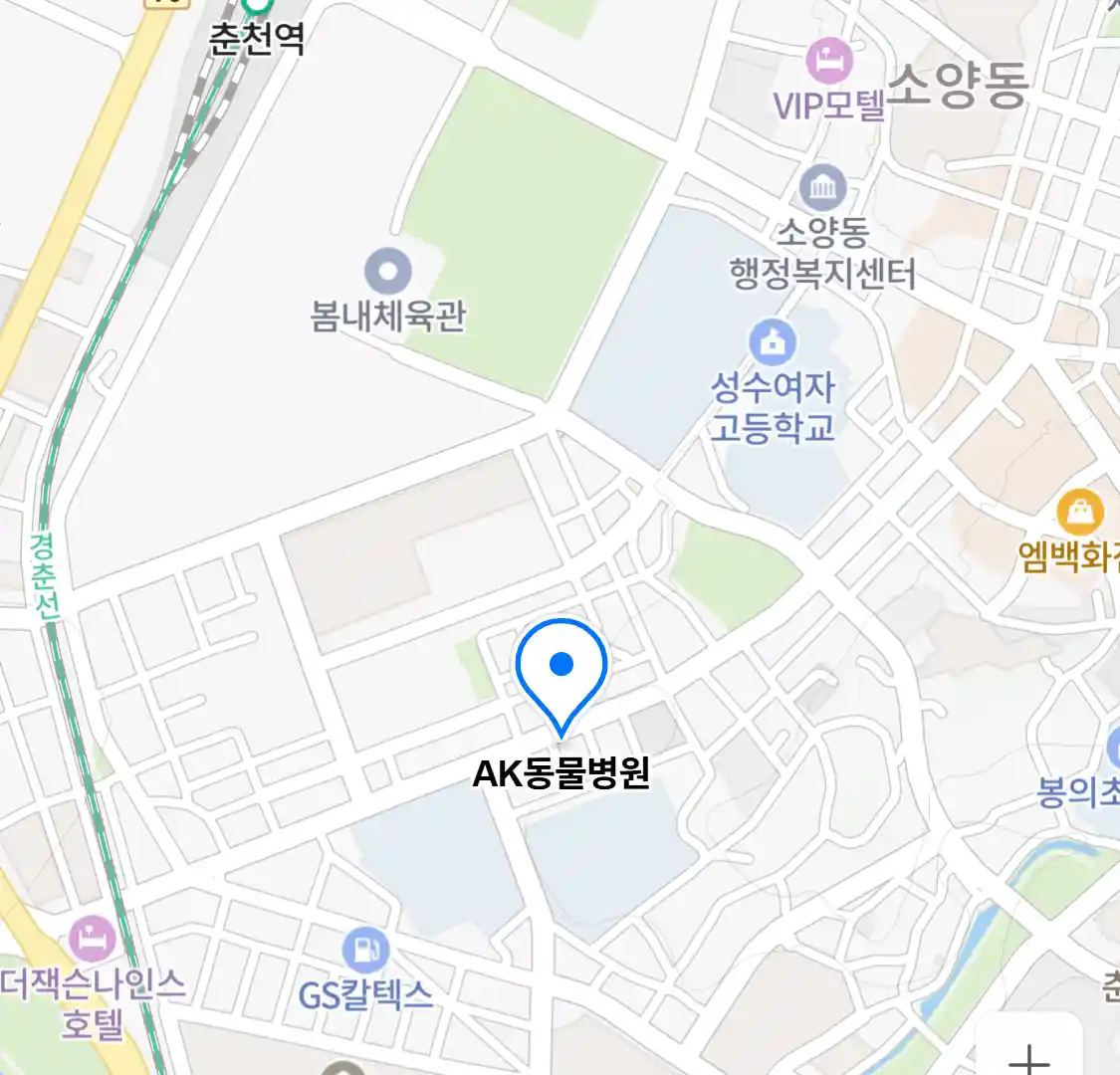 AK동물병원