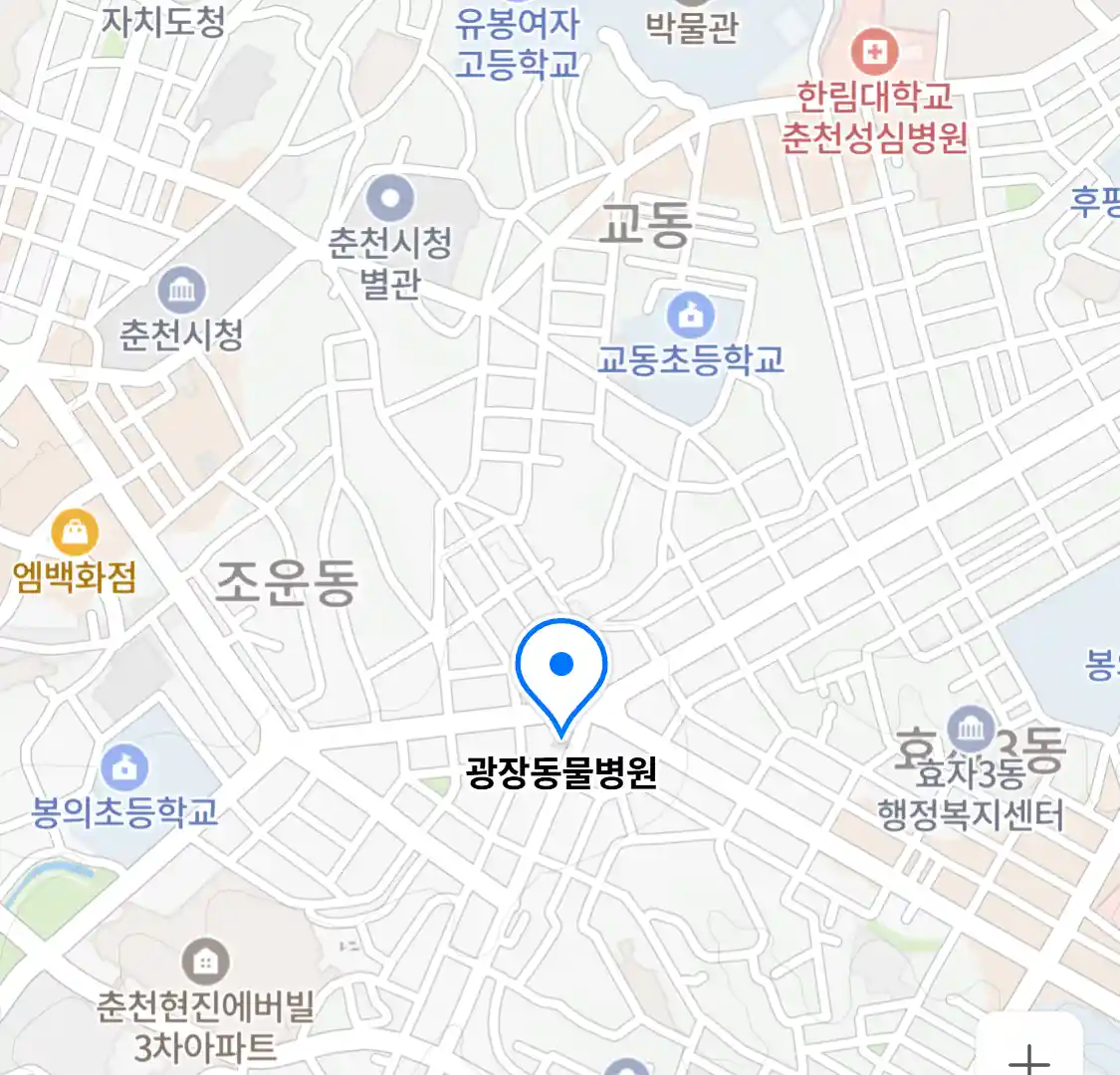 광장동물병원