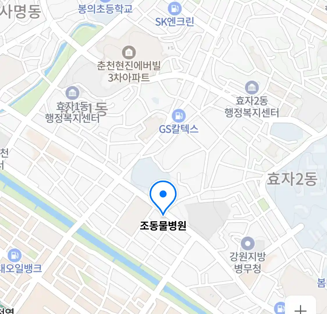 조동물병원