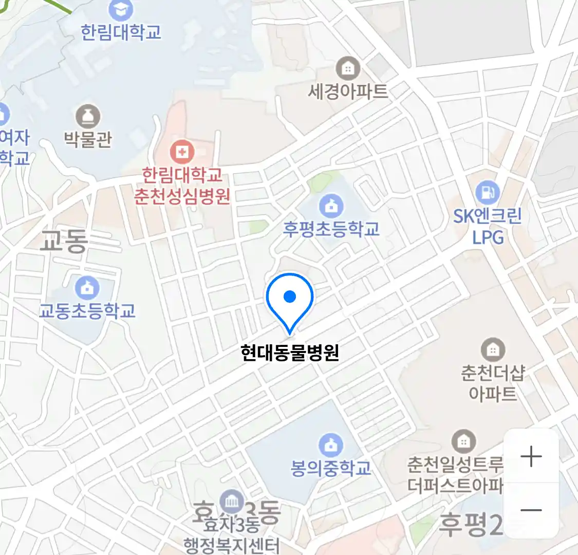 현대동물병원